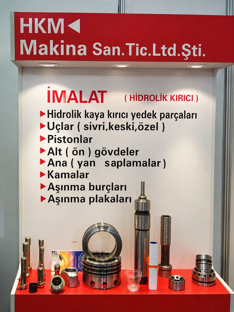 Ankomak 2010 — 3